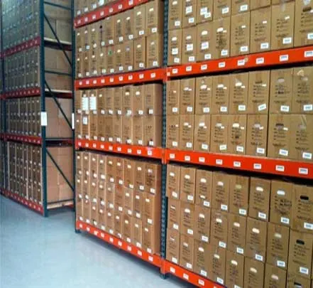 Document storage facility in Hyderabad